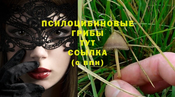 шишки Алексеевка