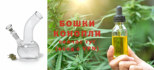 шишки Алексеевка