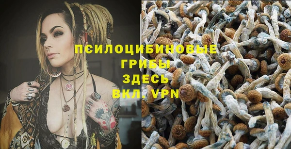 герыч Алексин