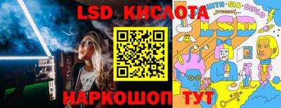 крисы Боровичи