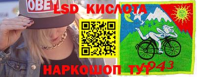крисы Боровичи