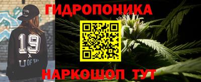 крисы Боровичи