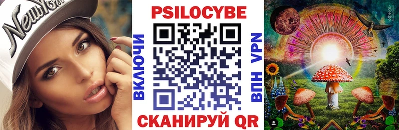 MEGA как зайти  Асино  Псилоцибиновые грибы Psilocybine cubensis  наркота 