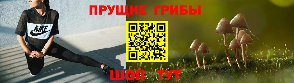 Галлюциногенные грибы Cubensis  Псилоцибиновые грибы мицелий  Вход с VPN  Асино 